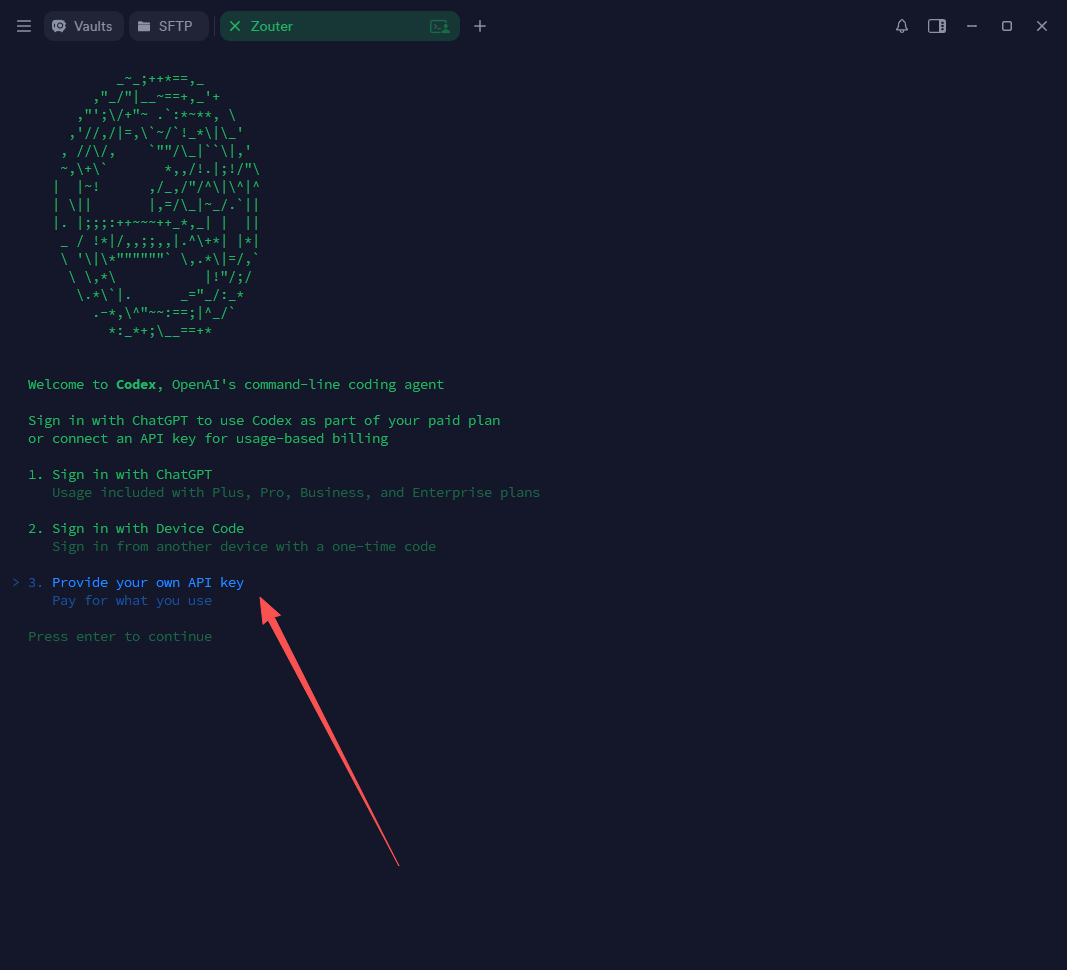 Codex CLI 打开用户级配置步骤图