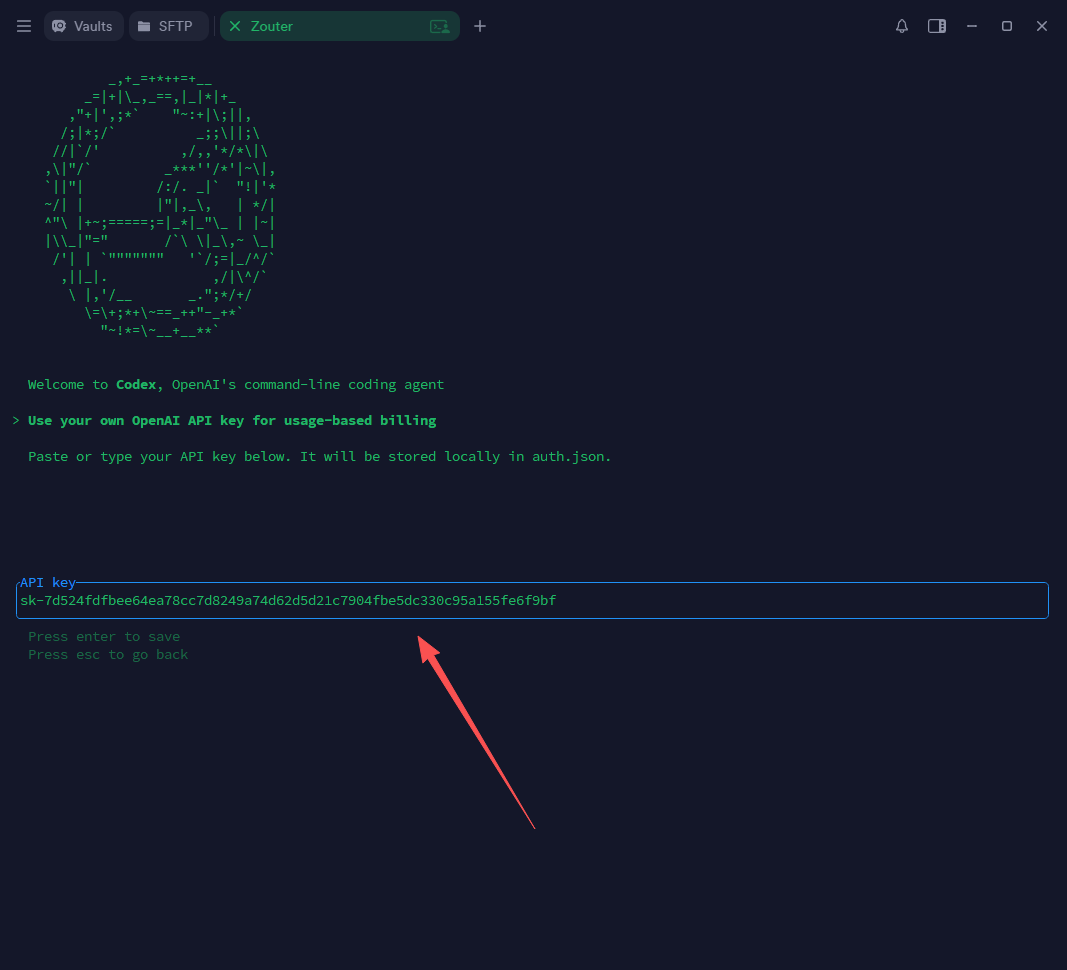 Codex CLI 编辑 config.toml 步骤图